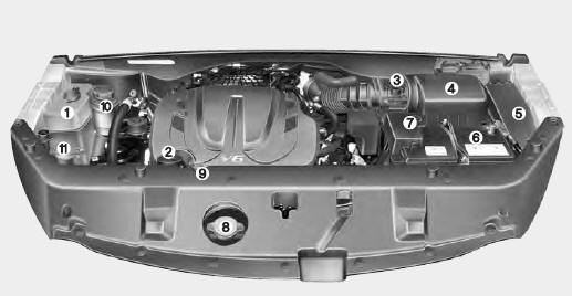 Compartiment moteur