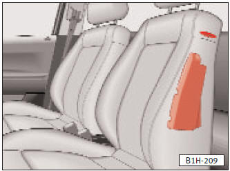 Système de coussins gonflables (airbags)